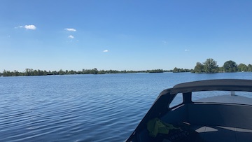 beauty of Blackfish at Vinkeveense plassen